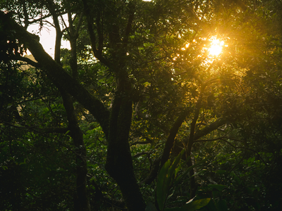 Искренний шёпот стоит тысячи молитв | Присутствие - Момент с Иисусом