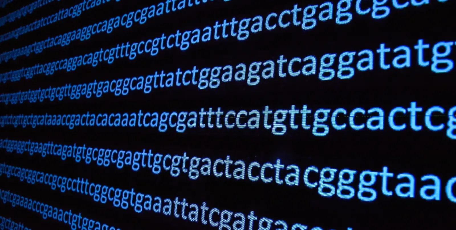 Базы данных ДНК: на пути к служению, а не к рабству