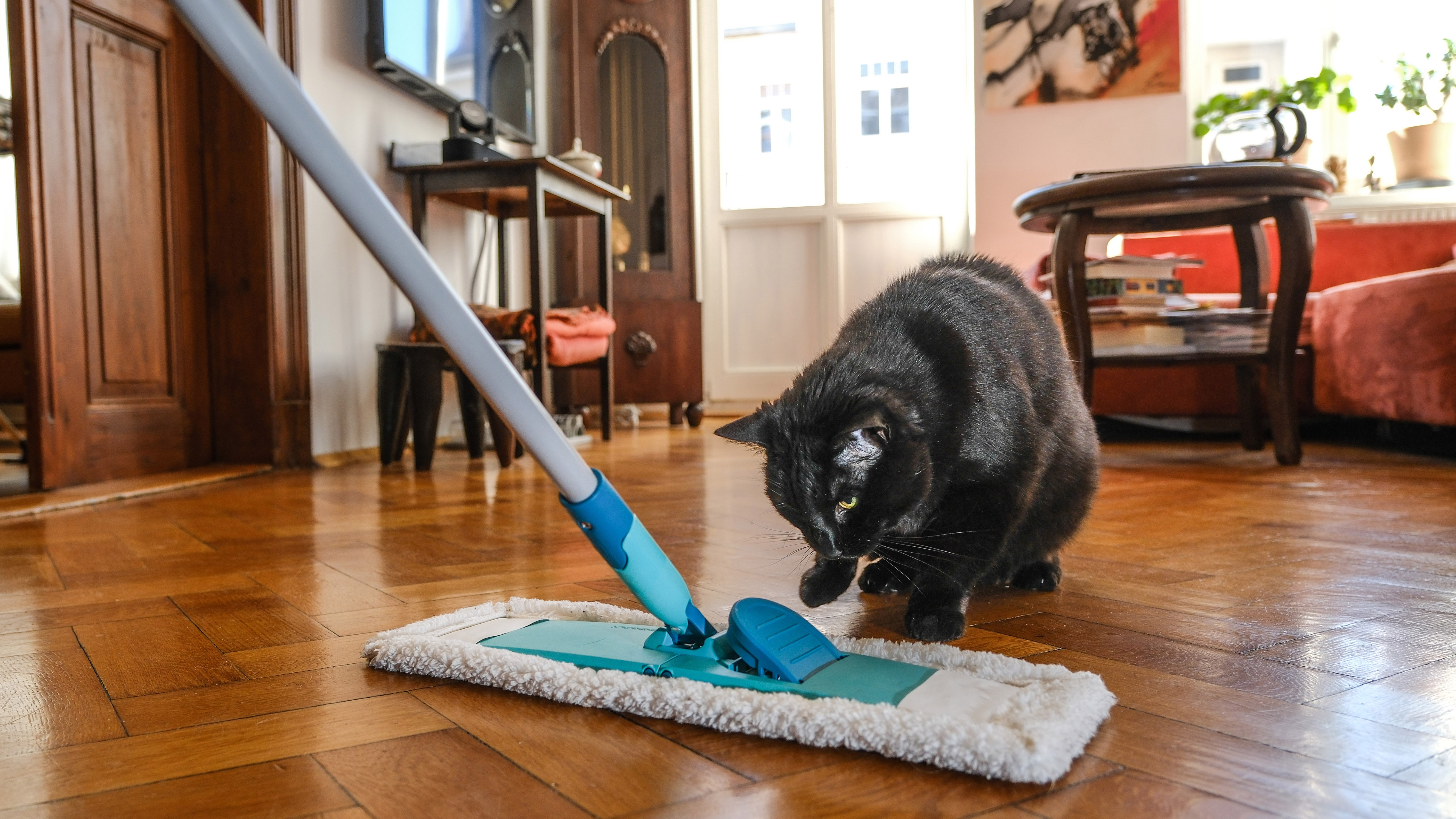 Духовный акт: весеннее очищение ума и подвала