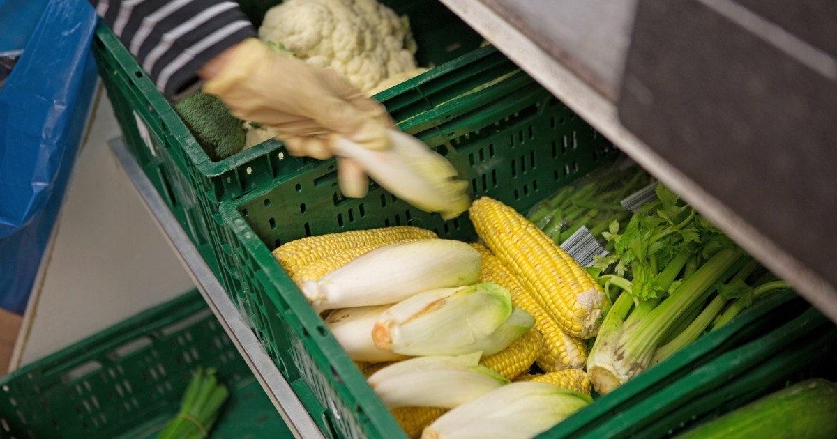 Тафели ощущают все изменения в мире