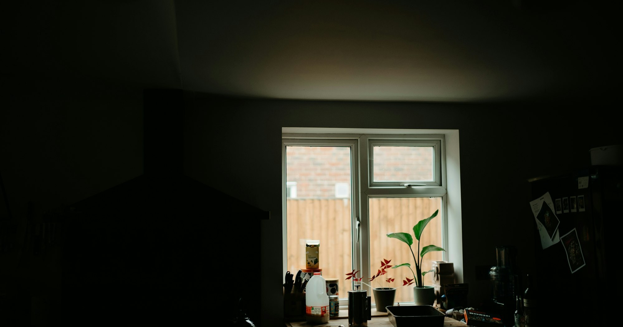 Иисус знает, что такое неблагодарность