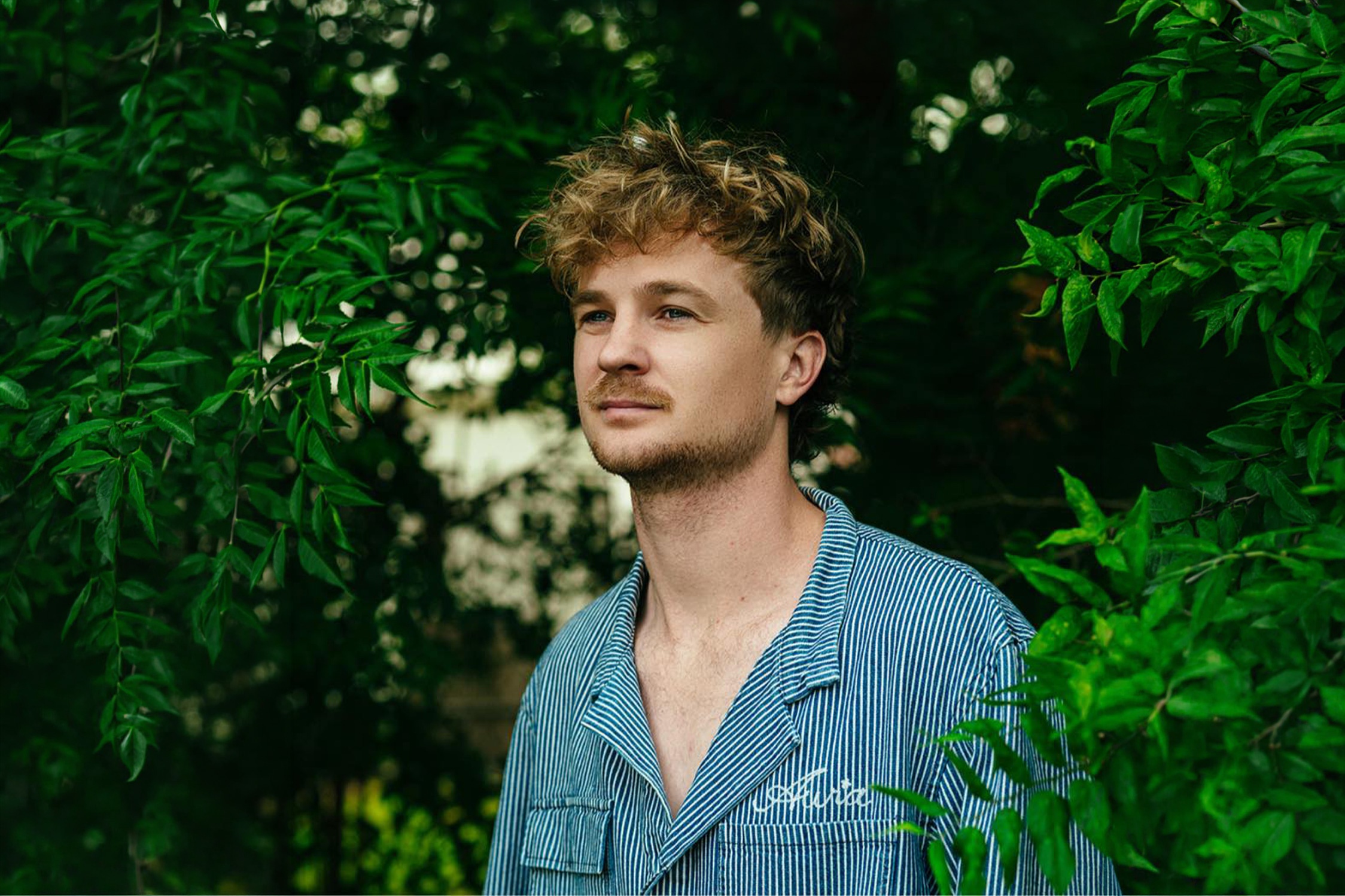 Surfaces анонсирует свой первый альбом без Форреста Фрэнка