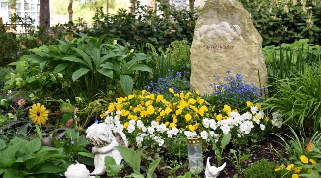 Траурные предложения для родителей «звездных детей»