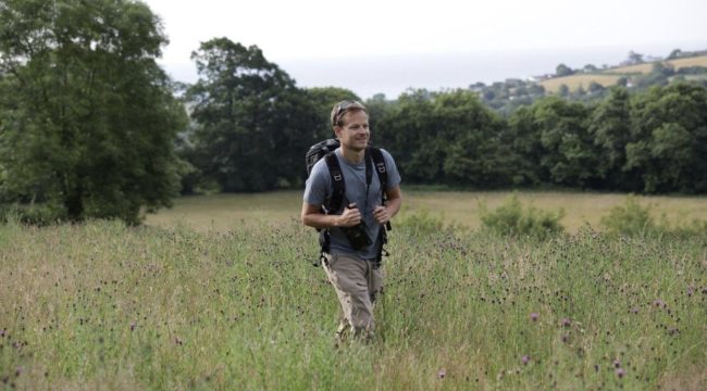 «Тайны пчёл» от NatGeo раскрывают чудо Божьего творения через близкое знакомство с насекомыми