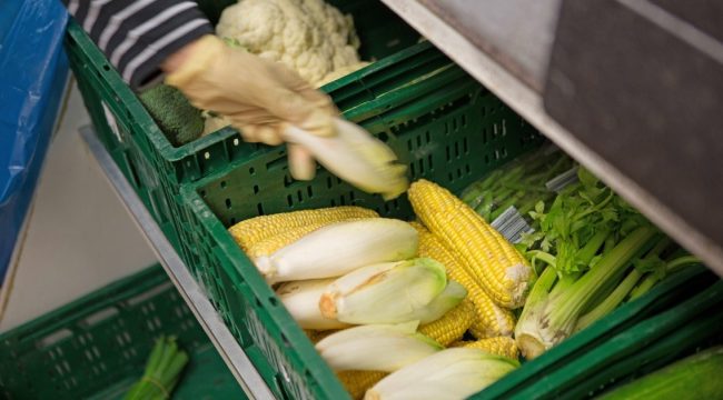 Тафели ощущают все изменения в мире