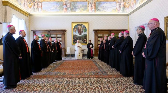 Лев XIV принял епископов для избрания Патриарха Халдейской Церкви