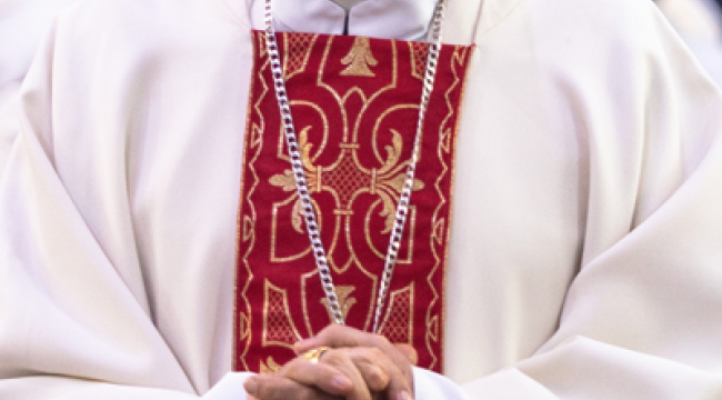 Поддержка итальянских и американских епископов Папе, раскритикованному Трампом