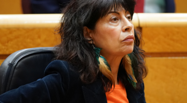 Право на аборт в Конституции Испании: евангелисты выступают против