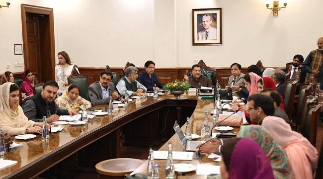 Законопроект о защите от насильственных обращений и браков продвигается в Пакистане