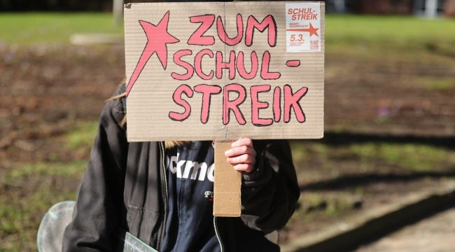 Дебаты о воинской повинности как возможность