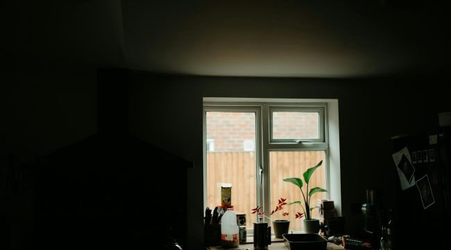 Иисус знает, что такое неблагодарность