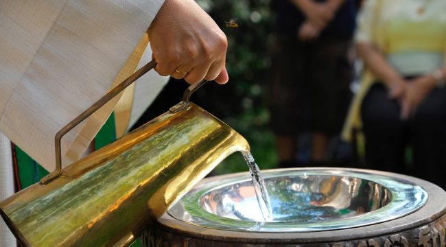 Число крещений взрослых католиков растет