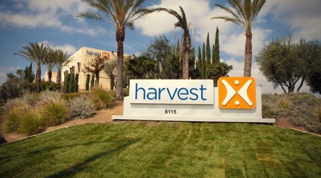 Церковь Harvest заявляет, что адвокат истцов по делам о сексуальном насилии над детьми получил 200 тысяч конфиденциальных файлов церкви