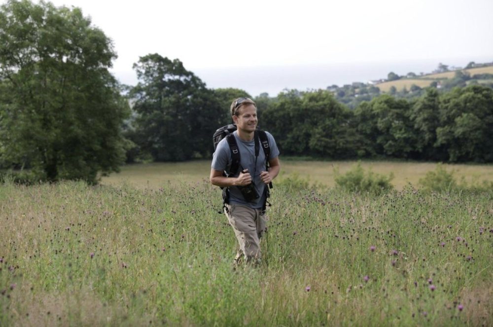 «Тайны пчёл» от NatGeo раскрывают чудо Божьего творения через близкое знакомство с насекомыми