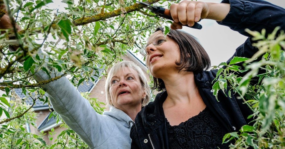 Кто занимается садоводством, работает с жизнью, а не против неё