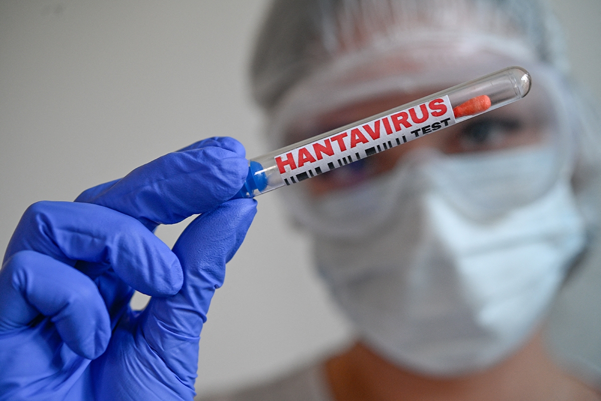 Вспышка хантавируса на круизном судне: 5 ключевых фактов, которые нужно знать