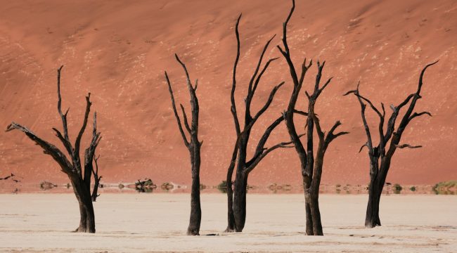 Недостающая реформатская доктрина духовного формирования