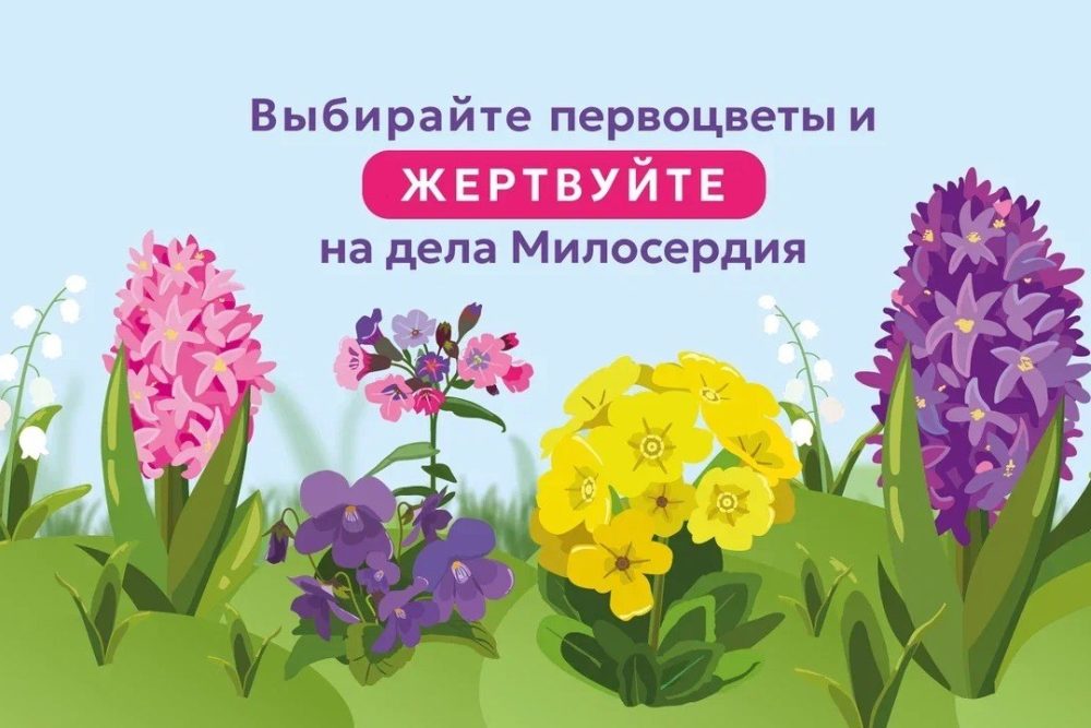 Стартовала акция в поддержку портала «Милосердие.ru»