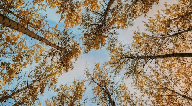 Почему мы (на самом деле) перестаем молиться?