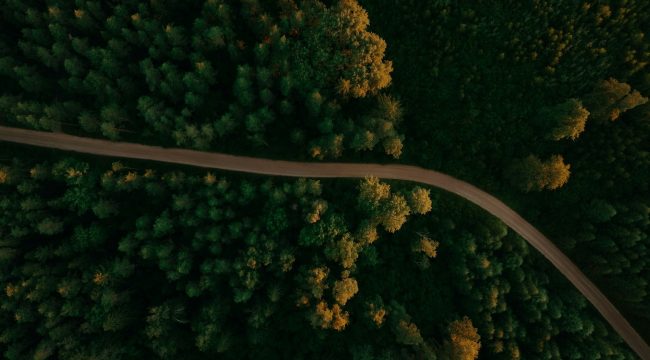 Ваши самые мрачные дни рассказывают историю нежной благодати