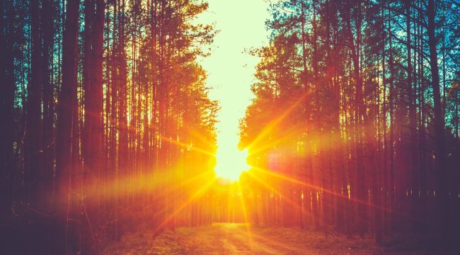 Логика Ветхого Завета о воскресении