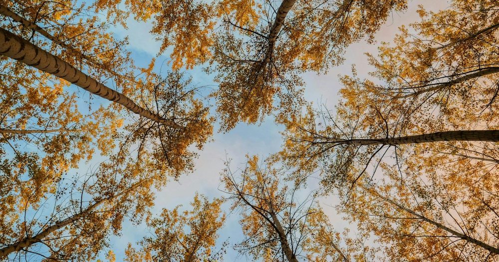 Почему мы (на самом деле) перестаем молиться?