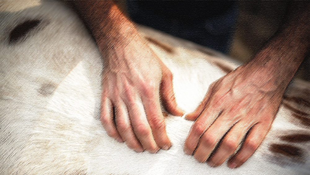 Логика заместительного наказания в книге Левит