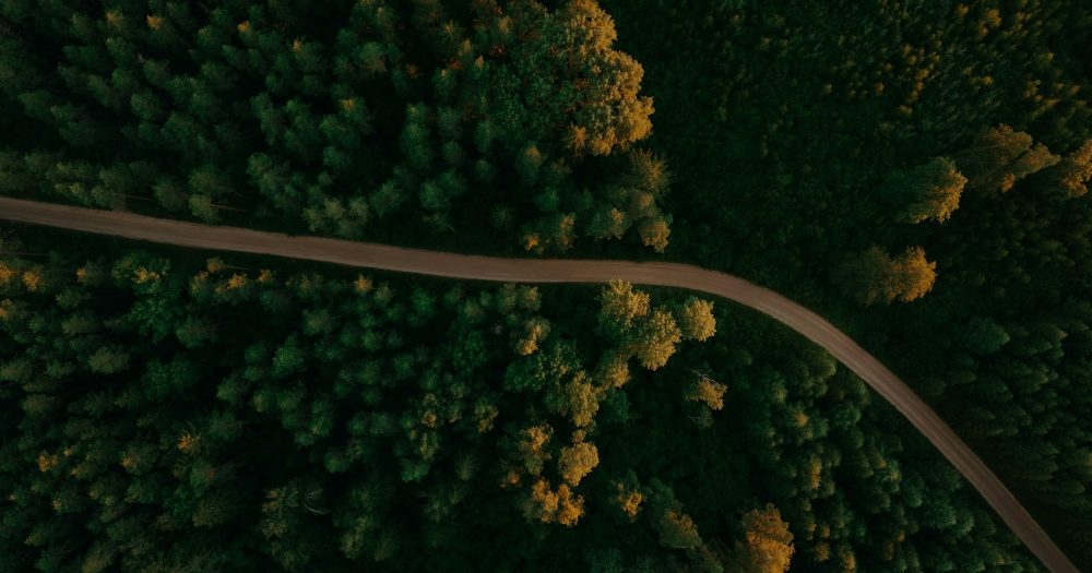 Ваши самые мрачные дни рассказывают историю нежной благодати