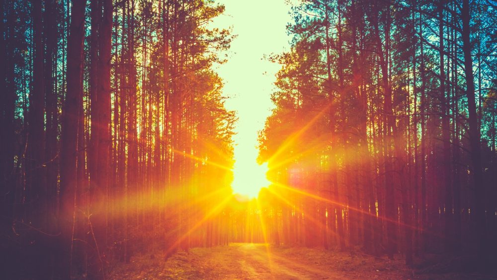 Логика Ветхого Завета о воскресении