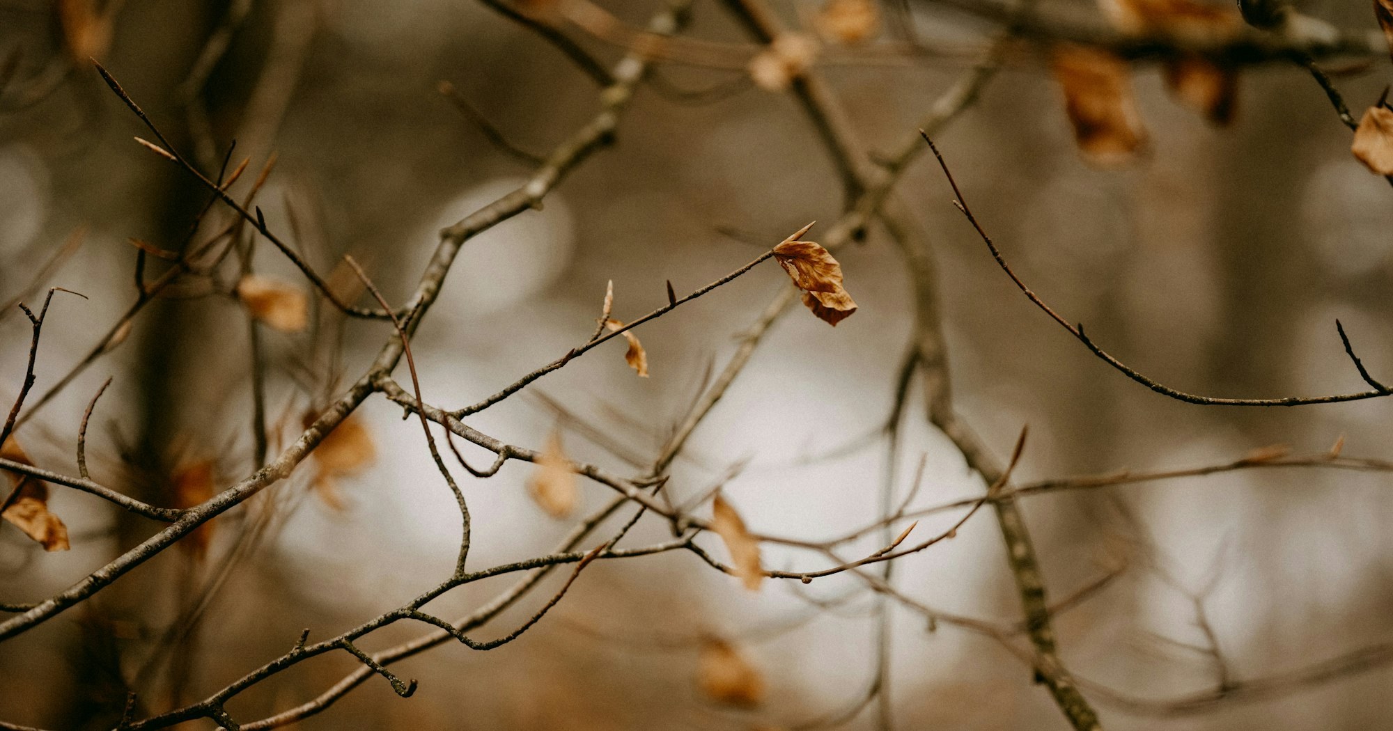 Какие ложные учения должны заставить меня покинуть церковь?