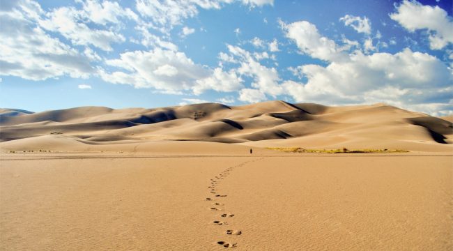 Ваши странствия по дикой природе не пусты