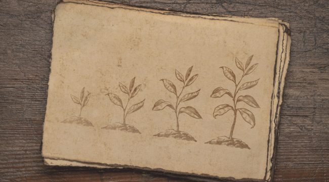 Возрождение начинается с малого