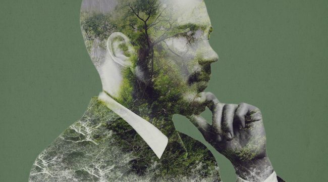 Знание об Иисусе должно сделать нас лучшими хранителями творения