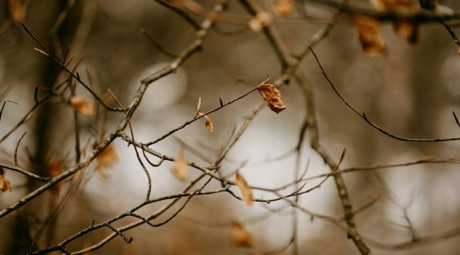 Какие ложные учения должны заставить меня покинуть церковь?