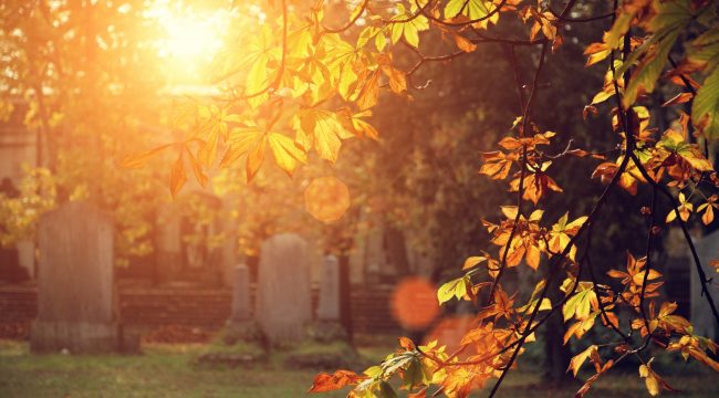 Лазарь: история надежды для наших близких