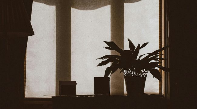 Искушение приходит в лучшие моменты