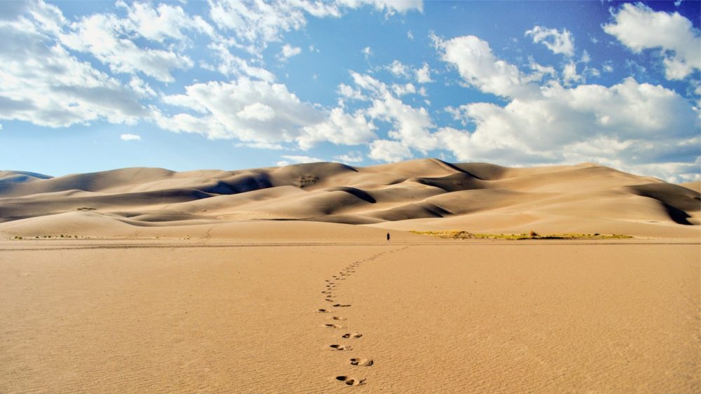 Ваши странствия по дикой природе не пусты