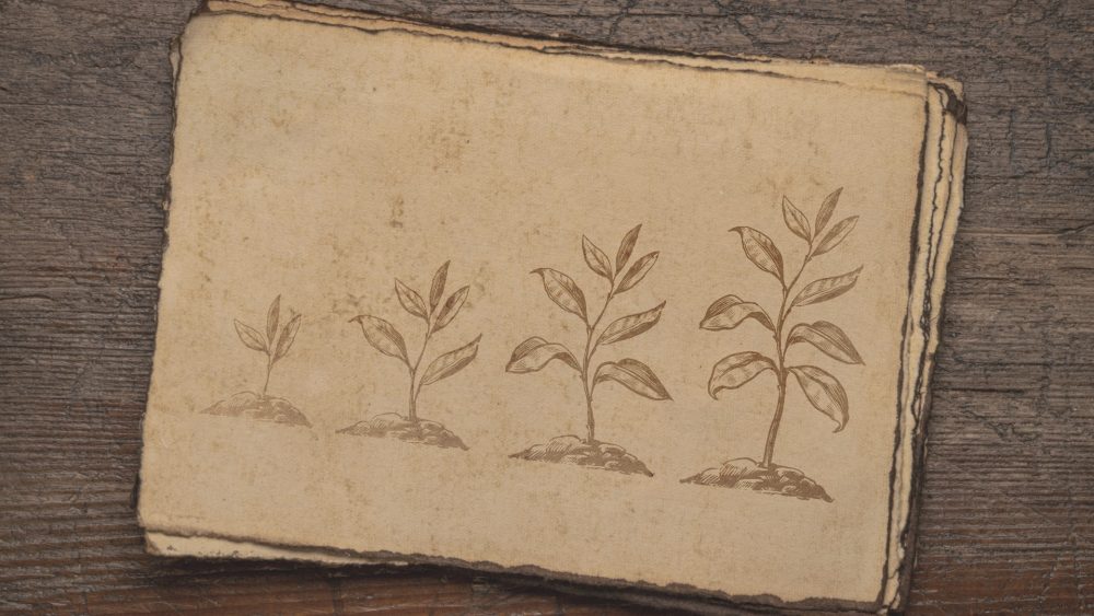 Возрождение начинается с малого