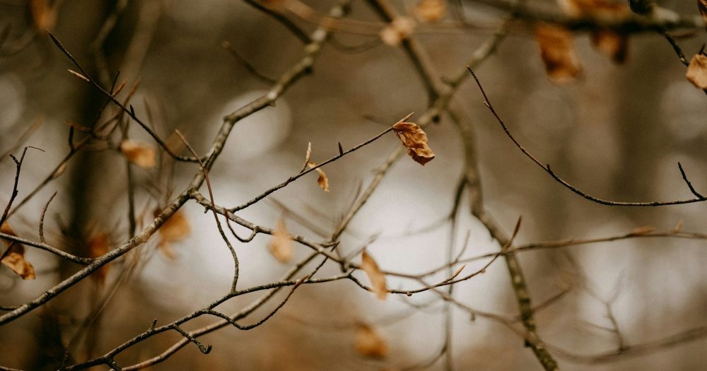 Какие ложные учения должны заставить меня покинуть церковь?