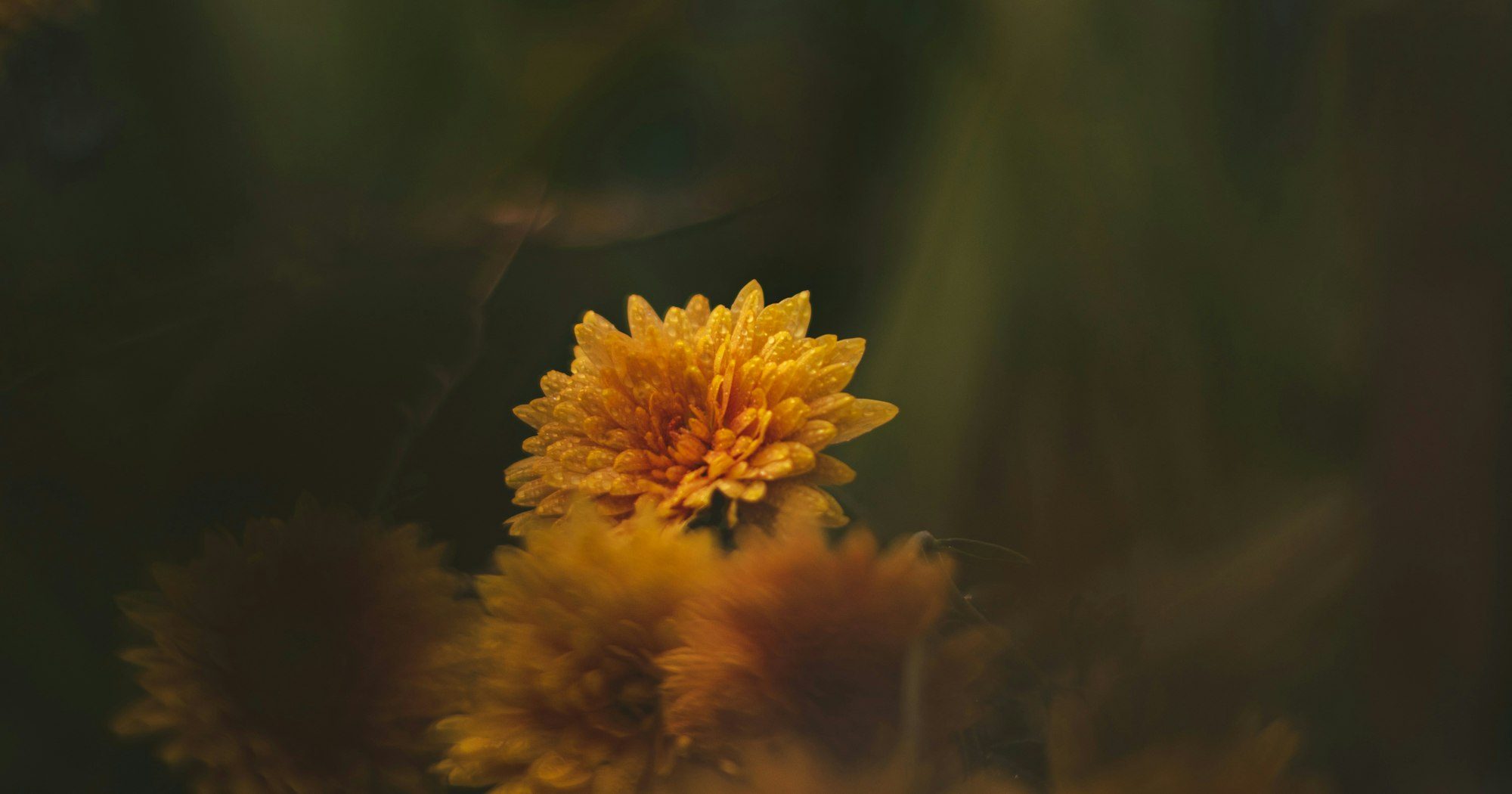 Как сохранить брак после измены