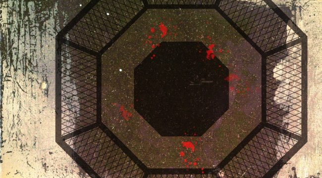 Почему я изменил свое мнение о смешанных единоборствах