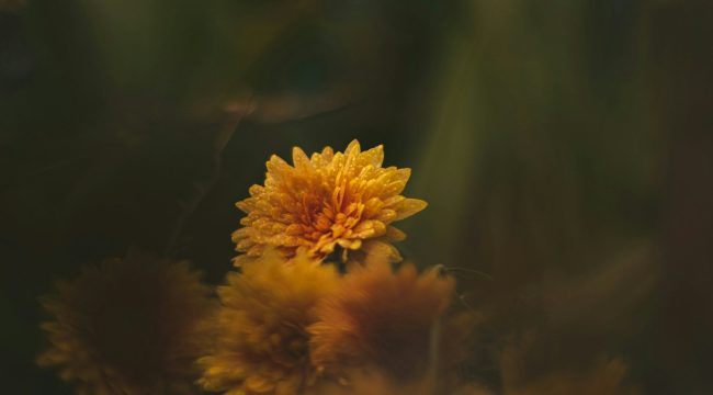 Как сохранить брак после измены