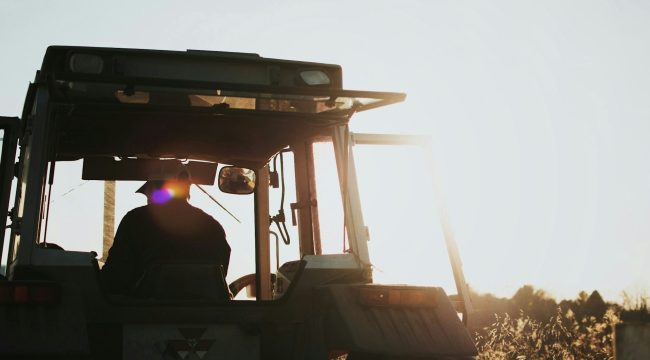 Вы можете не увидеть плод своего служения