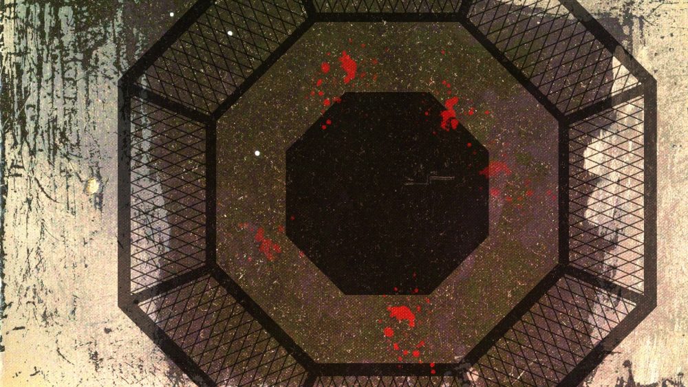 Почему я изменил свое мнение о смешанных единоборствах