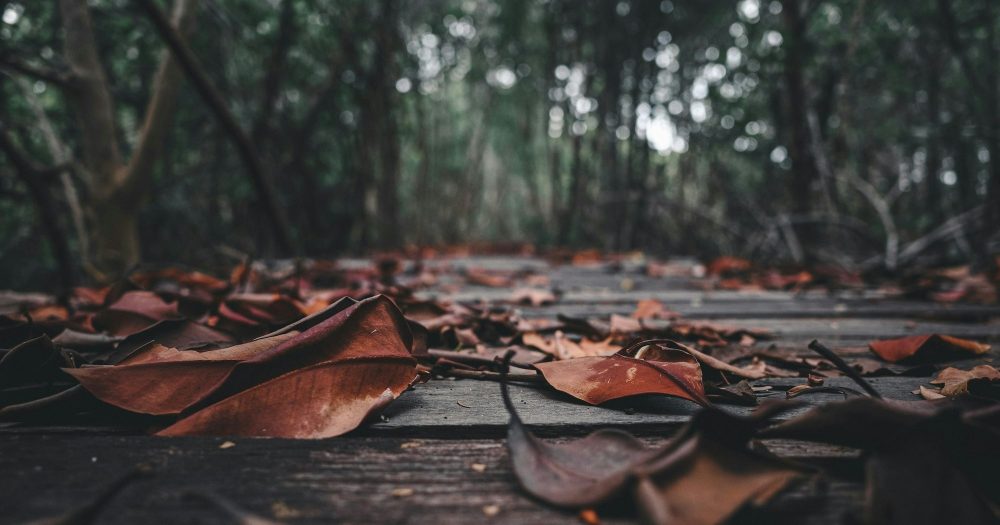 Любить стареющих родителей