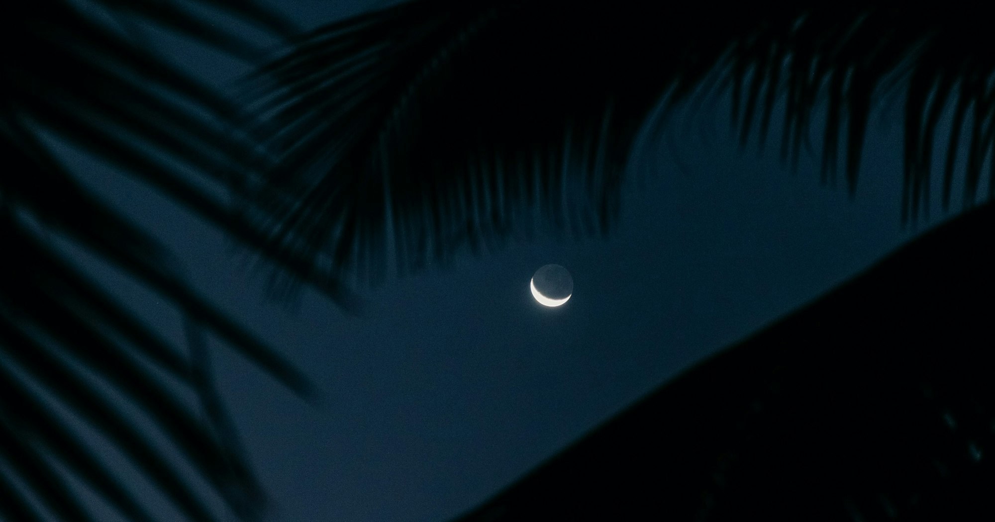 Почему ясность ума приходит ночью