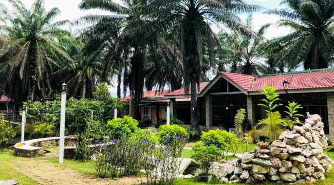 В Малайзии открылся «дом престарелых» для молодых людей поколения Z, страдающих от выгорания