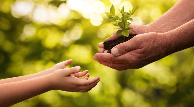 Пожилые верующие все еще могут сделать многое
