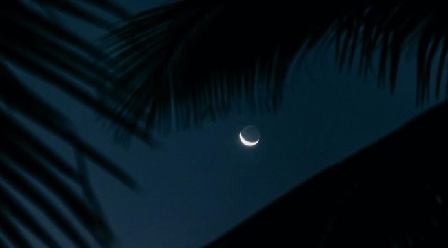 Почему ясность ума приходит ночью