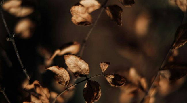 Где любовь Бога, когда жизнь идет не так?